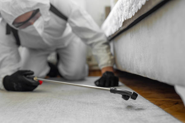 Professional Bed Bug Control technician working in University Heights, OH
