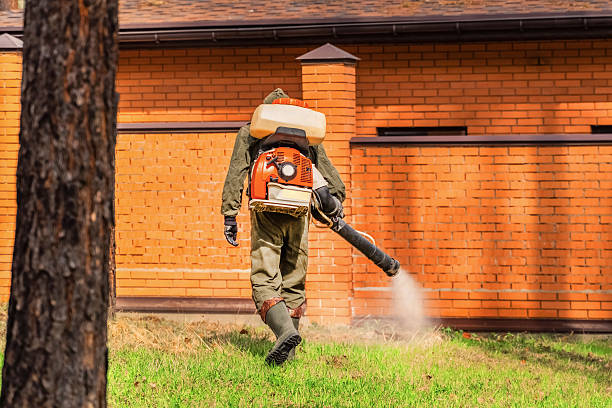 Trusted Cockroach Control service in University Heights, OH - Nex Pest Control